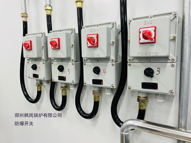 电蒸汽锅炉（电锅炉、立式、卧式）