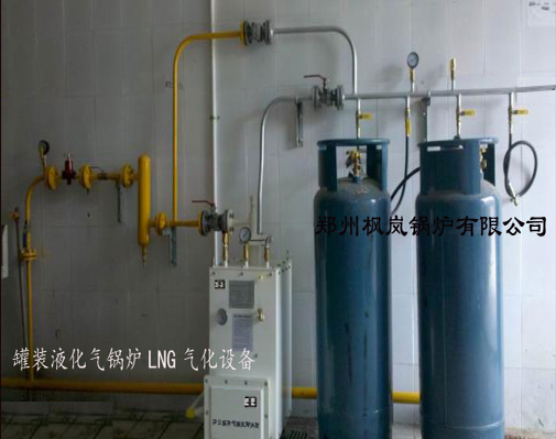 罐装液化气锅炉和生化燃料锅炉