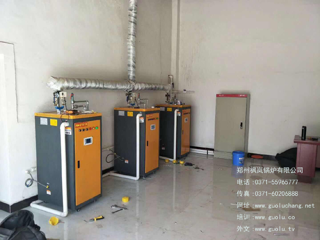 电加热蒸汽发生器