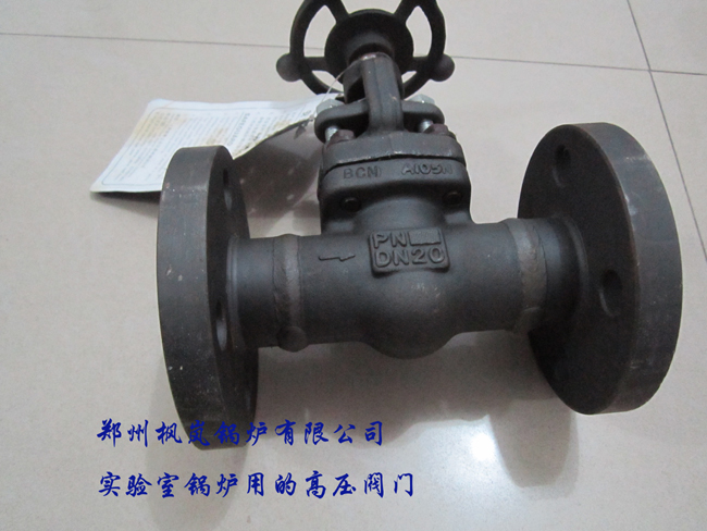 特种锅炉，实验室锅炉，超高压锅炉，电加热锅