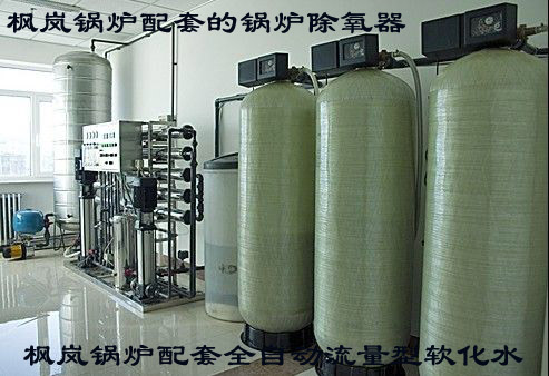 枫岚锅炉-备各种型号锅炉用全自动软化水，热力除氧，解析除氧设备